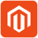 Magento Developer